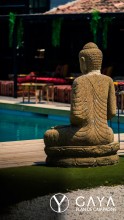 Notre zone d'activité pour ce service Restaurant avec patio intérieur et vue sur piscine